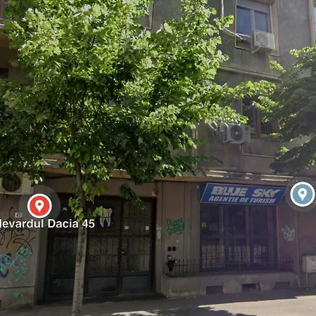 Jungle Breath - Centre * Bukarest